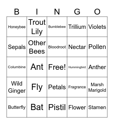 Pollinators Bingo Card