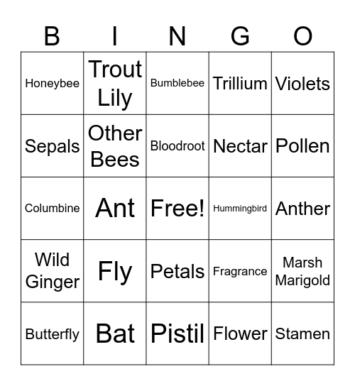 Pollinators Bingo Card