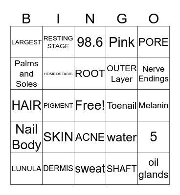 Integumentary System Bingo Card