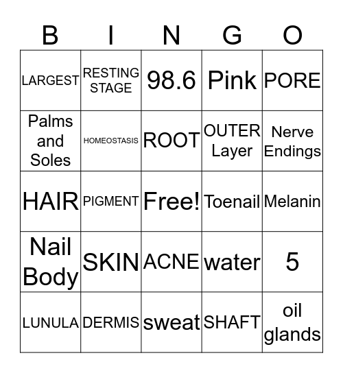 Integumentary System Bingo Card