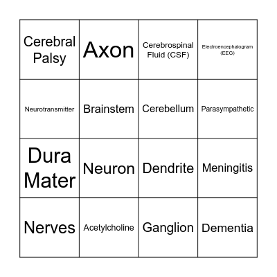 Nervous System Bingo Card