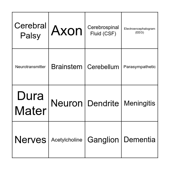 Nervous System Bingo Card