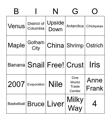 Trivia #4 Bingo Card
