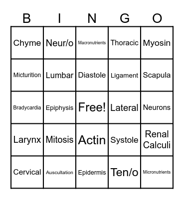 Cumulative Anatomy Bingo Card
