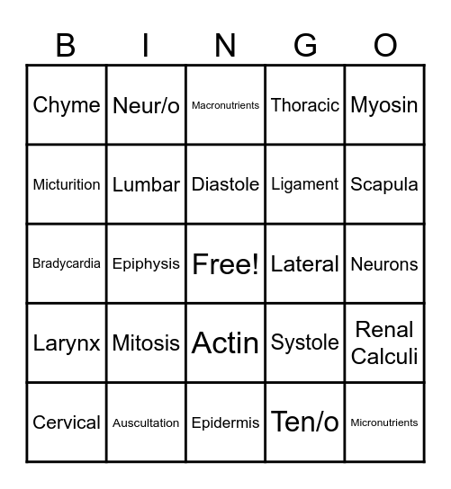 Cumulative Anatomy Bingo Card