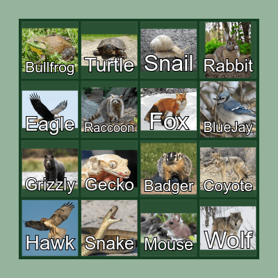 Nature Bingo Card