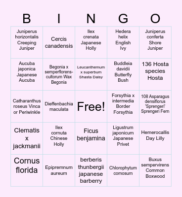 Plant Catalog  Bingo Card