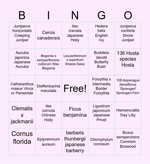 Plant Catalog  Bingo Card