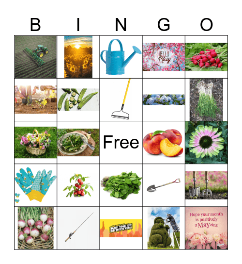 May Bingo Card