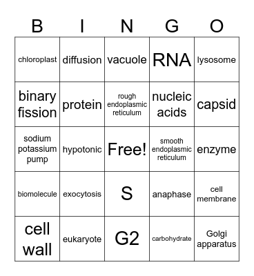 Biology Bingo Card