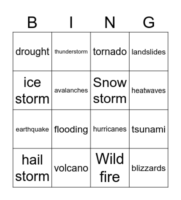 Natural Disasters Bingo Card