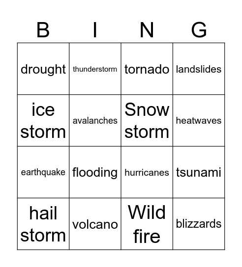 Natural Disasters Bingo Card
