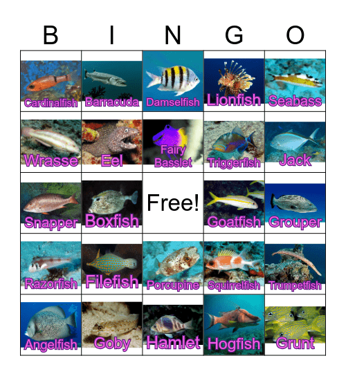Fish ID Bingo Card