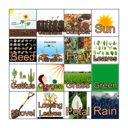 Let's Plant It Bingo Card