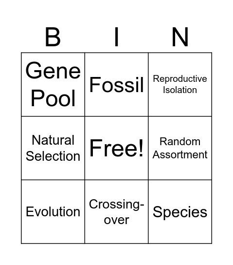 9th Grade Spring Exam Review 2025 Bingo Card