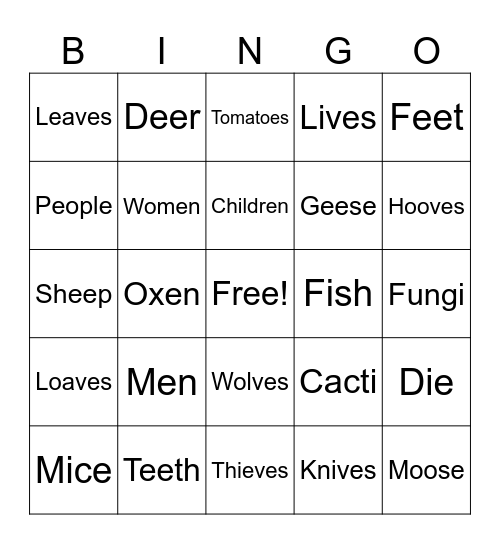 Irregular Plurals Bingo Card