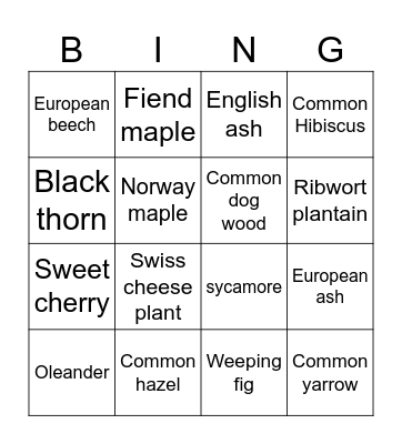 France Bingo Card