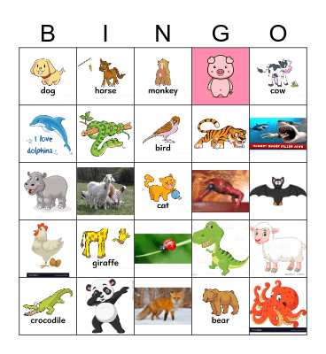Animals Bingo Card