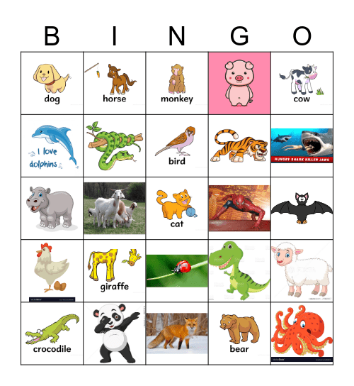 Animals Bingo Card