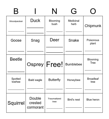 Nature Hike Bingo Card