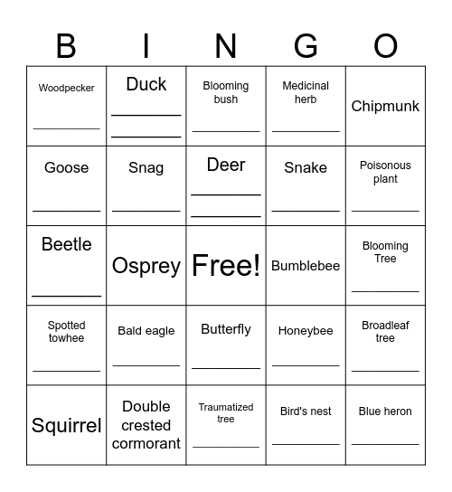Nature Hike Bingo Card
