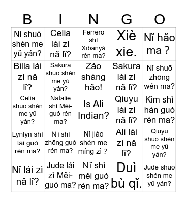 Countries, citizenship & languages Bingo Card