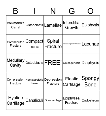Bone & Skeletal Tissue Bingo Card