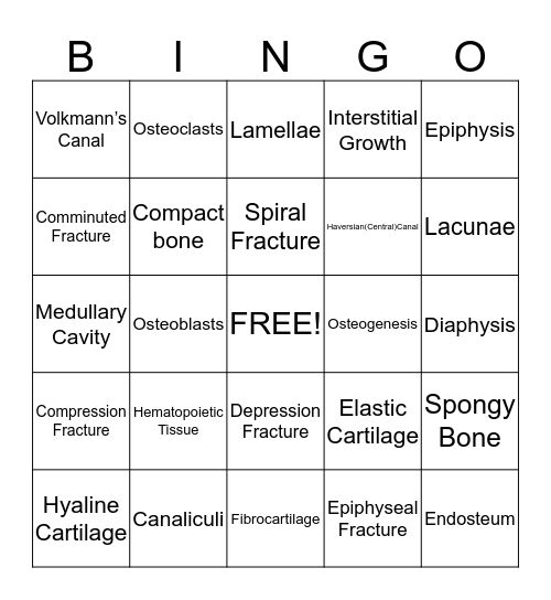 Bone & Skeletal Tissue Bingo Card