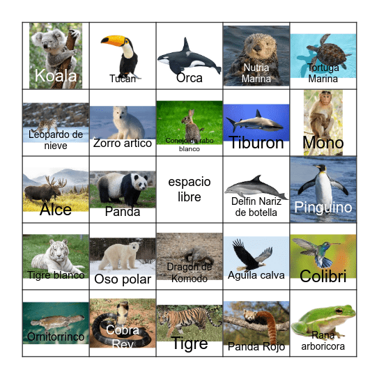 bingo de animales Bingo Card