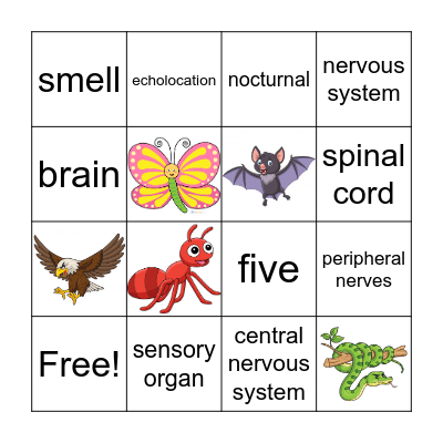 Information Processing in Animals Bingo Card