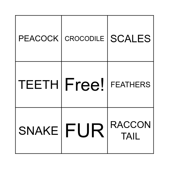 Amazing animals Bingo Card