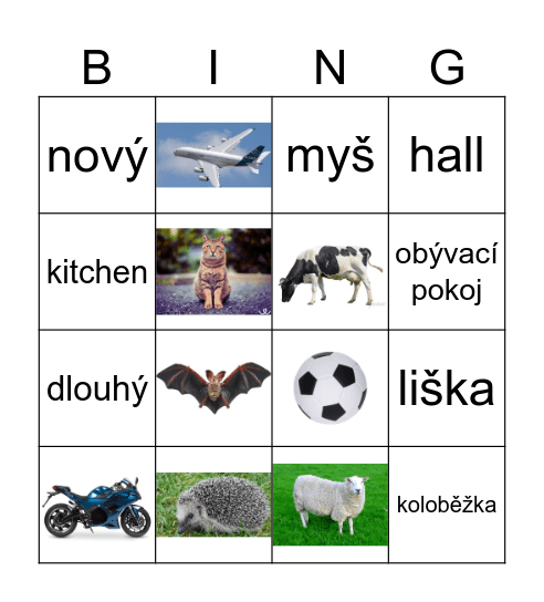 Bingo 2.C Bingo Card