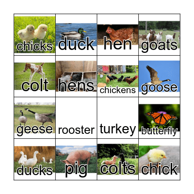 FFF Farm Animals Bingo Card