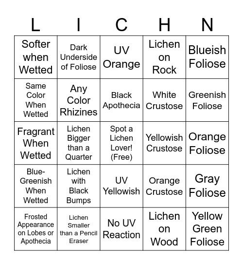 Lichen 2 Bingo Card