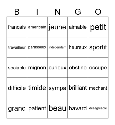 French Adjectives Bingo Card