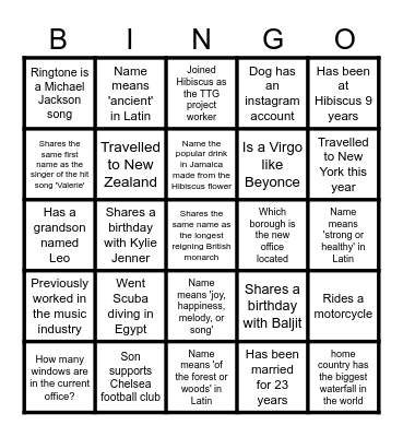 HIBISCUS TEAM BINGO Card