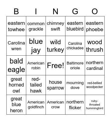 Back Yard Birds! Bingo Card