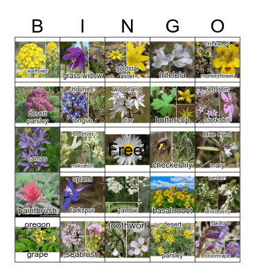 Wildflower Bingo Card