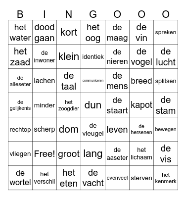 Woordenschat Wereld Bingo Card