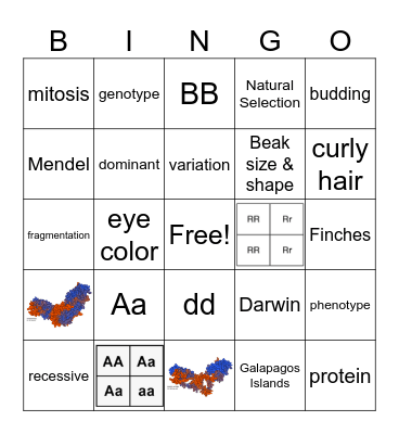 Q3 Science Bingo Card