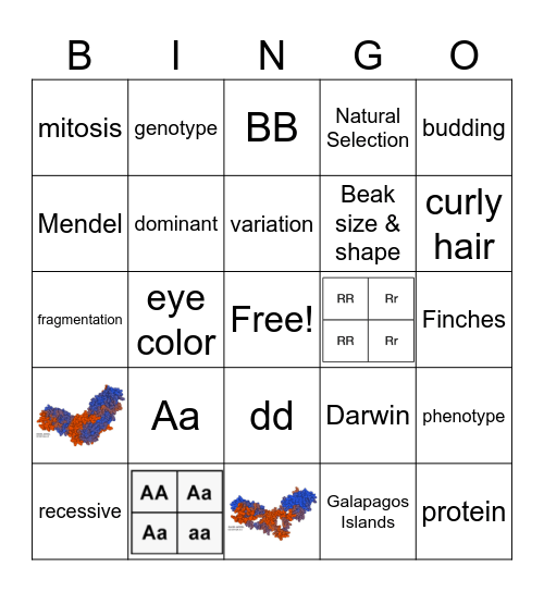 Q3 Science Bingo Card