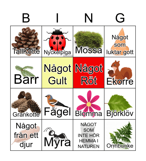 Naturbingo Card