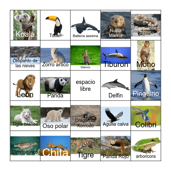 bingo de animales Bingo Card