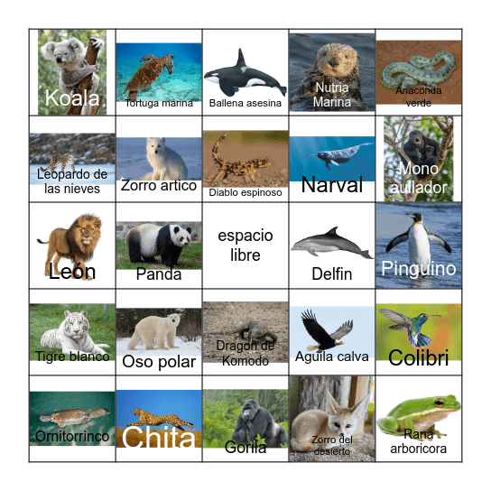 bingo de animales- clase de warren Bingo Card