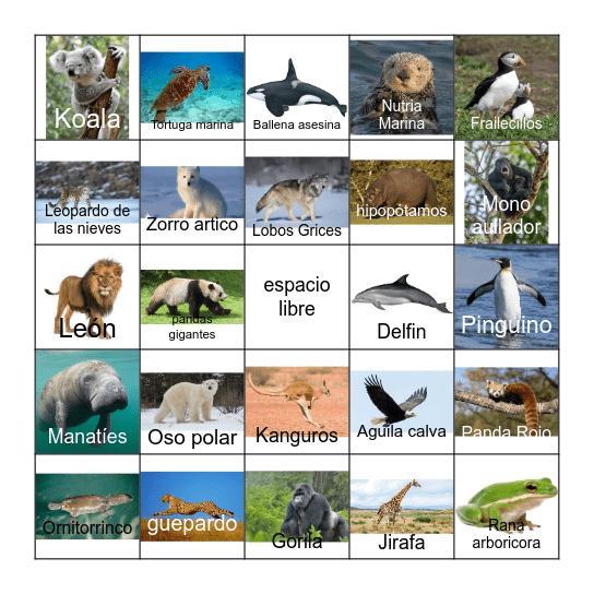bingo de animales- Clase de DiMinno Bingo Card
