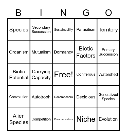 Final Vocab V1 Bingo Card