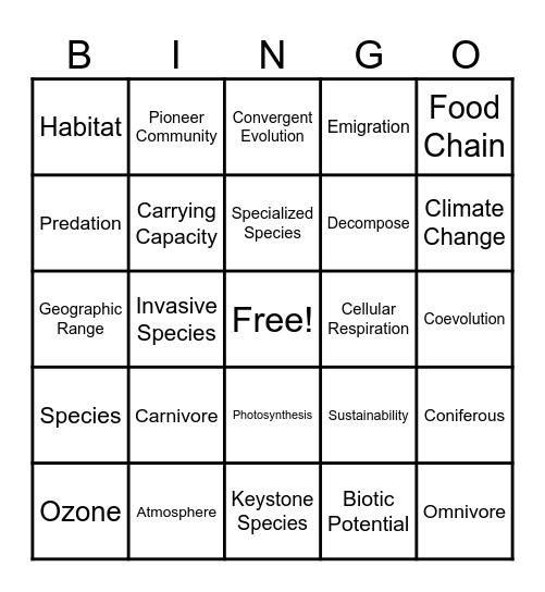 Final Vocab V3 Bingo Card
