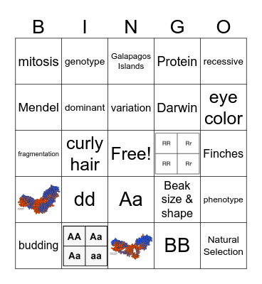 Q3 Science Bingo Card