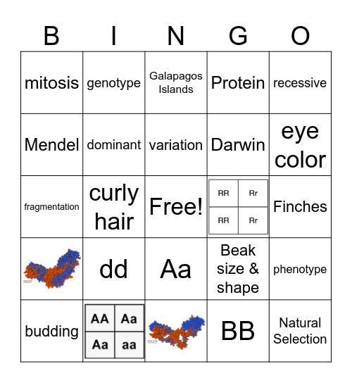 Q3 Science Bingo Card