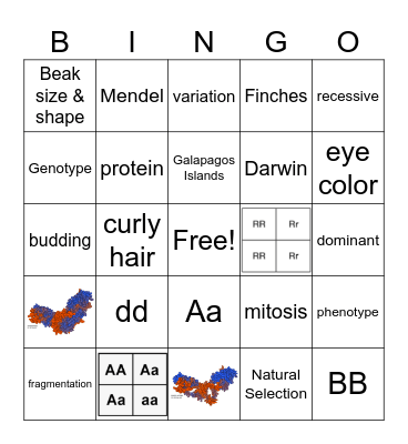Q3 Science Bingo Card